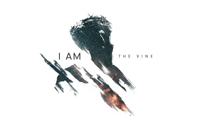 I Am the Vine Image
